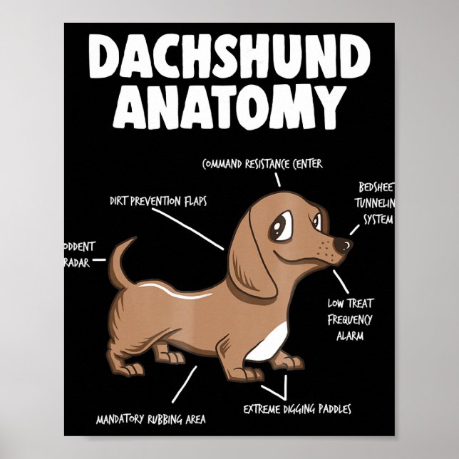 Dog Gift | Anatomy Dachshund  Funny Weiner Poster (Front)