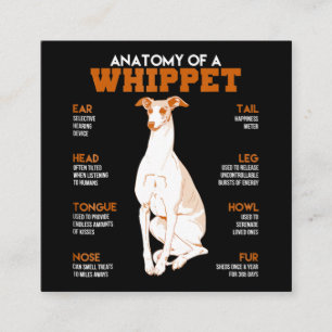 Dog Gift anatomy of a whippet dogs t funny gift Square Business Card
