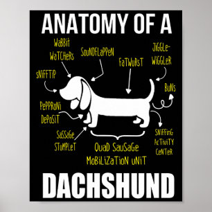 Dog Gift   Anatomy Of Dachshund Poster
