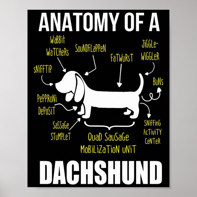 Dog Gift | Anatomy Of Dachshund Poster (Front)