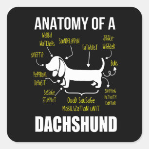 Dog Gift   Anatomy Of Dachshund Square Sticker
