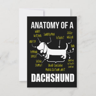 Dog Gift   Anatomy Of Dachshund Thank You Card