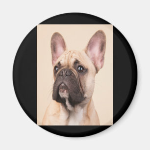 Dog Gift   French Bulldog With Poor Face Magnet