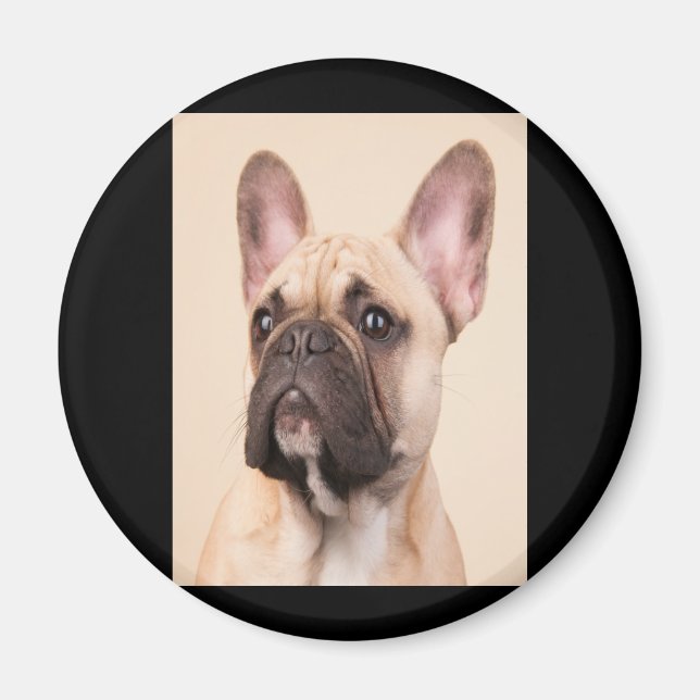 Dog Gift | French Bulldog With Poor Face Magnet (Front)