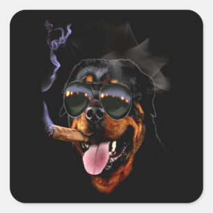 Dog gift   Little rottweiler buddy Square Sticker