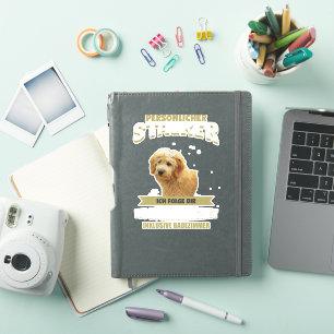 Dog GoldendoodleGoldendoodle Dog puppy pet