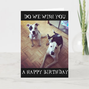 *DOG GONE RIGHT* WE WISH YOU A HAPPY BIRTHDAY! CARD