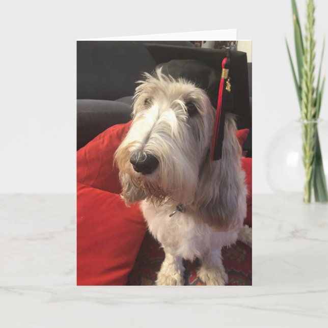 Dog Graduation Card (Front)