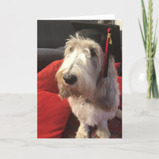 Dog Graduation Card