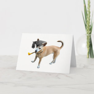 Dog Graduation Card