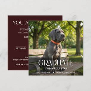 Dog Graduation Pet Photo Black Cherry Invitation