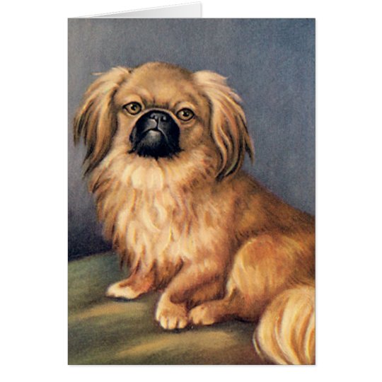 Dog greetings card