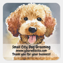 Dog Groomer Business 
