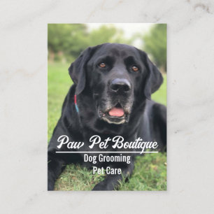 Dog Groomer Pet Care Puppy Walker Business Card