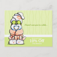 Dog Groomer Spa Shih Tzu Cucumber Coupon Mailer