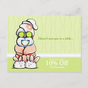 Dog Groomer Spa Shih Tzu Cucumber Coupon Mailer Postcard