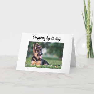 DOG GROOMER, VETERINARIAN AND DOG WALKER CARD