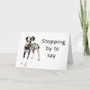 DOG GROOMER, VETERINARIAN AND DOG WALKER CARD