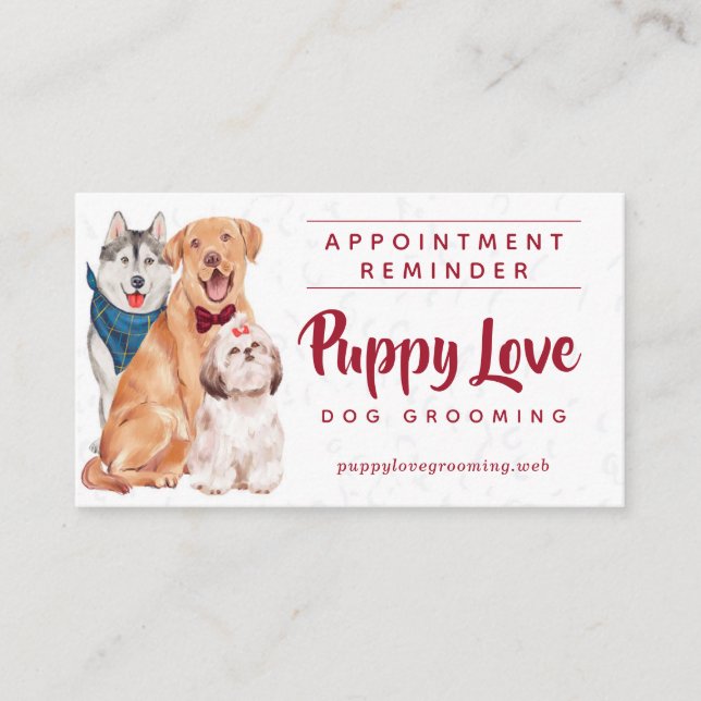 Dog Groomer Walker Sitter Appointment Reminder  Business Card (Front)
