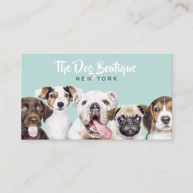 Dog grooming boutique pet sitter cute puppy script business card (Front)
