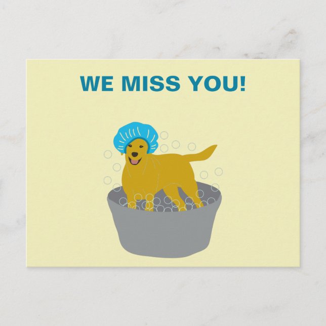 Dog Grooming Business Dog Groomers Promotional Postcard (Front)