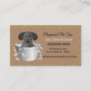 Dog Grooming Dog Spa Appointment Card