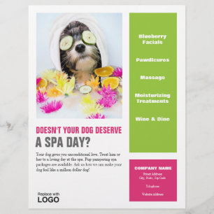 Dog Grooming Flyer-Spa Flyer