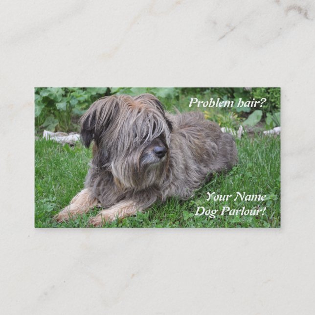 Dog grooming hairy sheepdog business card (Front)