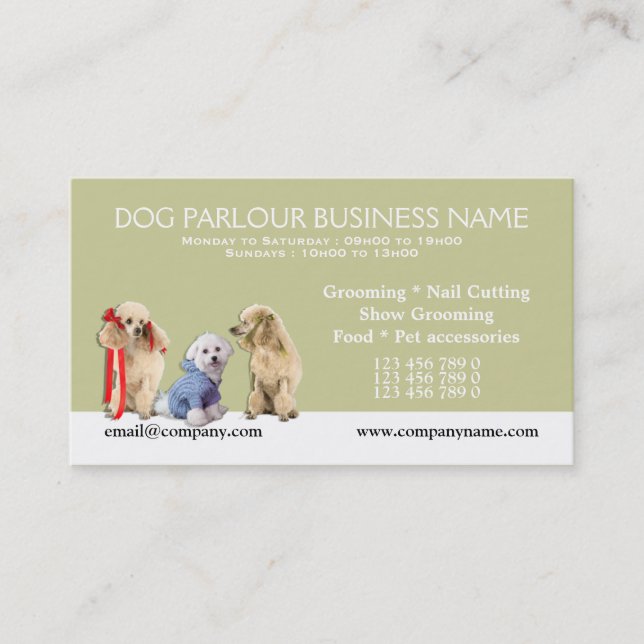 Dog grooming pet care PERSONALIZE Appointment Card (Front)