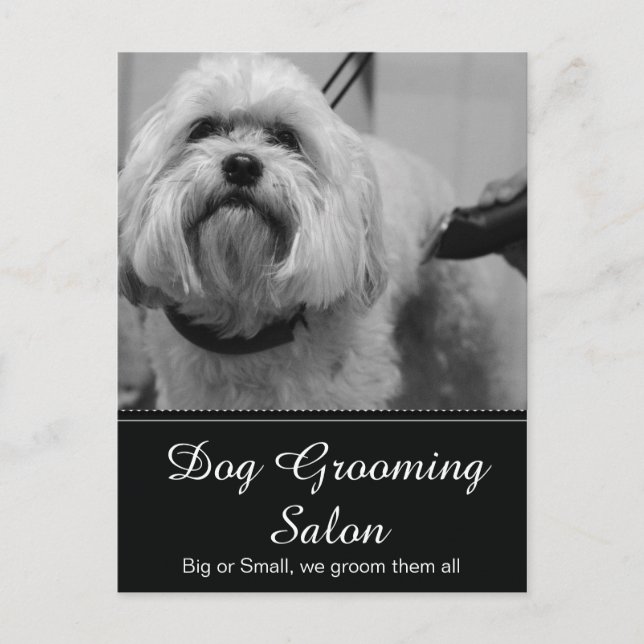 Dog Grooming Post Card - Personalizable (Front)