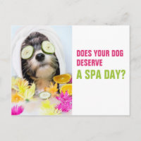 Dog Grooming Postcard-Spa