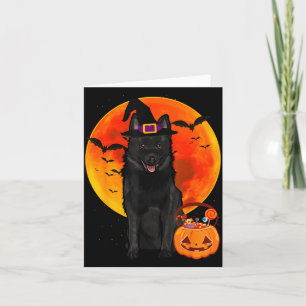 Dog Halloween Schipperke Jack O Lantern Pumpkin Card