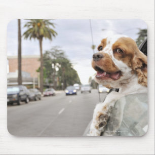 Dog hanging head out of car window mouse pad