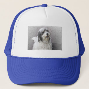 Dog Hat
