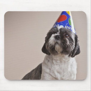 Dog having birthday mouse pad
