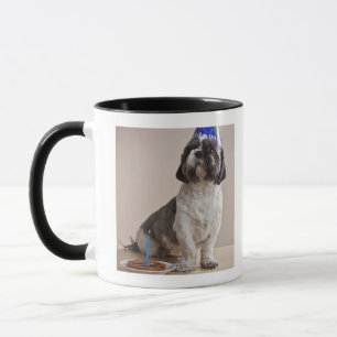 Dog having birthday mug