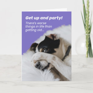 Dog Hiding Face - There's Worse Things Birthday Card