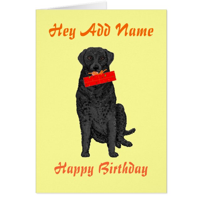 Dog Holding Birthday Present (Front)