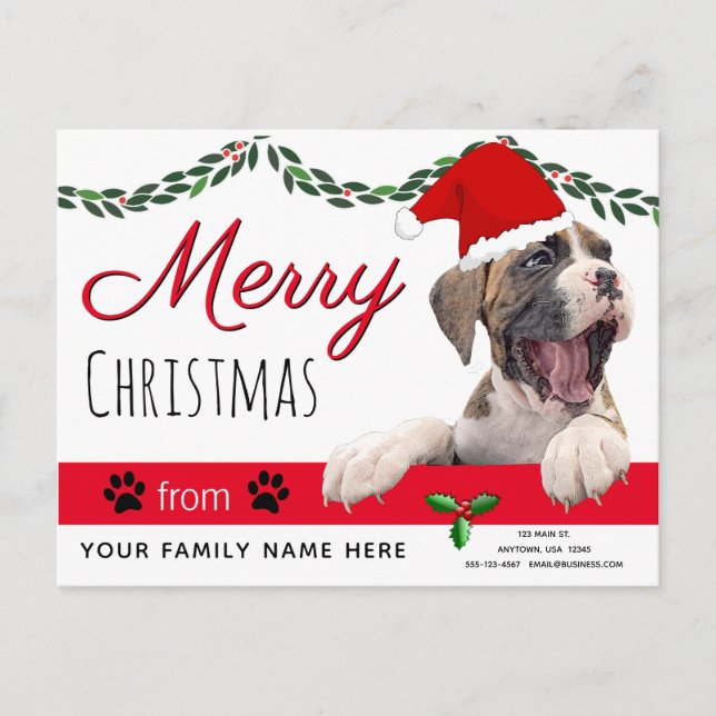 Dog Holiday Cards- From the Dog Christmas Cards (Front)