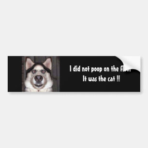 Dog, I did not poop on the floor It was the cat !! Bumper Sticker