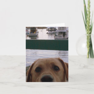 Dog - I Miss You Card
