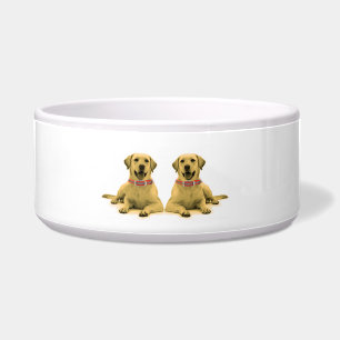 Dog image for Large Pet Bowl