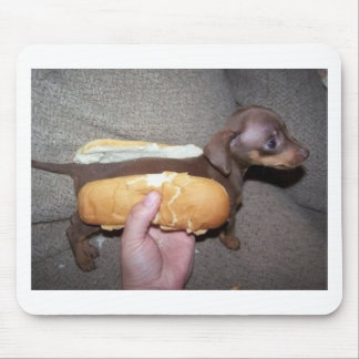 Dog in a Bun Mouse Pad