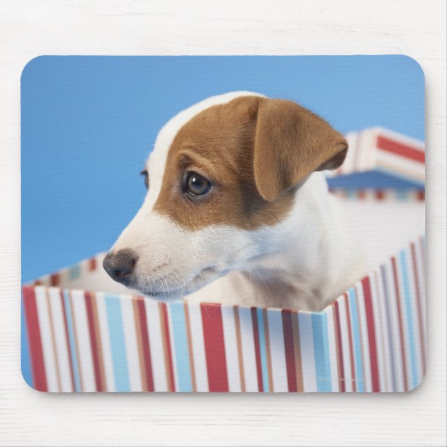 Dog in a Gift Box Mouse Pad (Front)