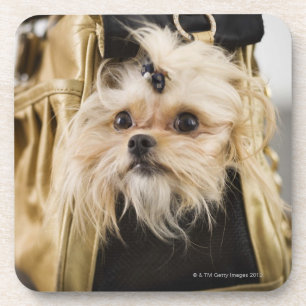 Dog in a purse coaster