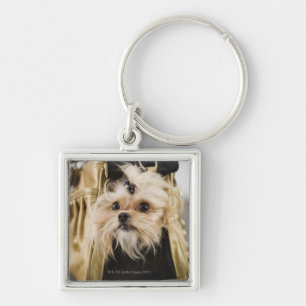 Dog in a purse key ring