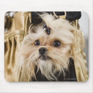 Dog in a purse mouse pad