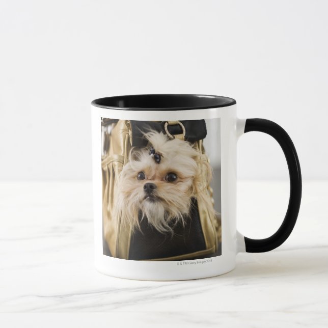 Dog in a purse mug (Right)