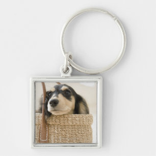 Dog in basket key ring