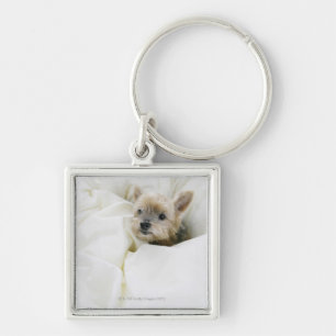 Dog in bed key ring